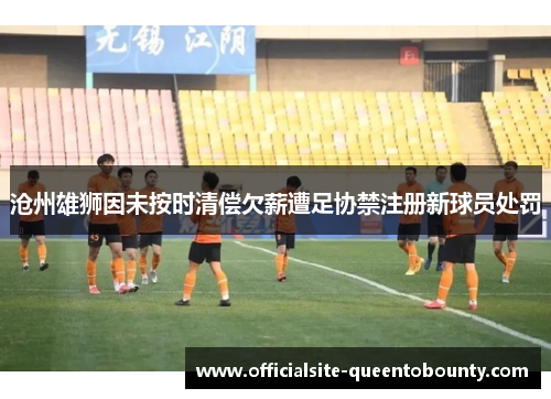 沧州雄狮因未按时清偿欠薪遭足协禁注册新球员处罚